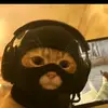 Who's James? - @jamest0mpitz - TikTok