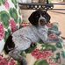 Jimmy Pitzer - Facebook