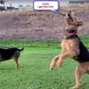 James Pezzuti - @james.pezzuti - TikTok
