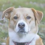 James Place - @jamesplace8654 - Instagram