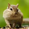 jamesplate - @jamesplate.com - TikTok