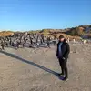 jamesplatts4 - @jamesplatts4 - TikTok