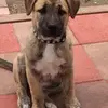 Jamesplayer88 - @jamesplayer88 - TikTok