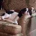 Jimmy Plowden - Facebook