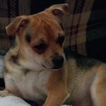 James A Plunk Sr. - @james.plunk.9440 - Instagram