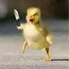 James Plunkett - @james.plunkett1 - TikTok