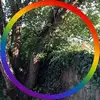 James Pocock - @jamespocock1 - TikTok