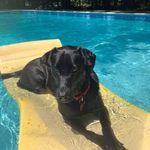 James Poitras - @jimpoi789 - Instagram