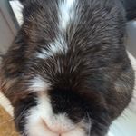 James Pollitt - @x_james_chunky_x - Instagram