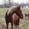 James Pollock - @james.pollock2 - TikTok