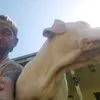 James polson - @jamespolson61 - TikTok