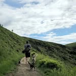 Michael James Pomroy - @michael_pomroy - Instagram
