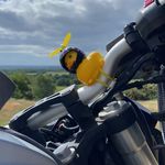 James Pond - @james_ponds_ducky_adventures - Instagram