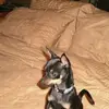 James Ponte - @james.ponte01 - TikTok