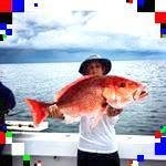 James Pontius - @vernalamberttungad - Instagram