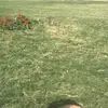 James - @jamespopa6 - TikTok