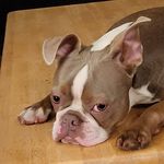 James Poss - @new_deal_breaks - Instagram
