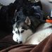 James Posthumus II - Facebook