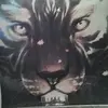 James Postlethwai508 - @jamespostlethwai5 - TikTok