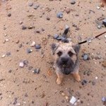James Postlethwaite - @jamespos73 - Instagram
