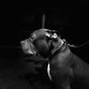 James Postlethwaite - @james.postlethwai - TikTok