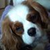 Keagan Christopher-James DeJulio Pottorff - Facebook