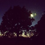 James Pounder - @jamespounder - Instagram