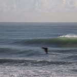 James Prideaux - @jamespridphotodump - Instagram