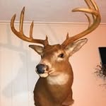 James Proctor - @james.proctor.16503 - Instagram