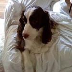 James Prude - @prudej - Instagram