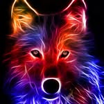 Matthew James Prunty - @matthewjp2018 - Instagram