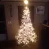 jamespullins1 - @jamespullins1 - TikTok