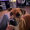 James Pyle - @heheitsme8688 - TikTok