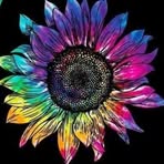 James Pyle - Facebook
