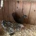 James Quail - Facebook