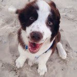 Franklin James Quarterman - @franklin.quarterman - Instagram