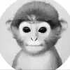 james.p.quesenberry - @james.p.quesenber32 - TikTok