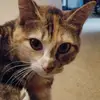 james quist - @james.quist - TikTok
