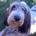 Jim Rabalais - Facebook