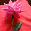 Raisha islam - @jamesrabby392 - TikTok