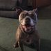 James Rabideau - Facebook