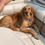 Tanner James Rabideau - @tanrabs - Instagram