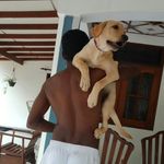 amesh rachintha - @rachintha71 - Instagram