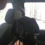 James77 - @jamesraffan7 - Instagram