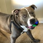 James Rainey - @james.rainey.56 - Instagram