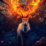 James Raker - @jamesra0302 - Instagram