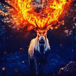 James Raker 3 - @3jamesraker - Instagram