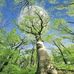 James Ramsburg - Facebook