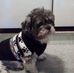 James Ramsburg - Facebook
