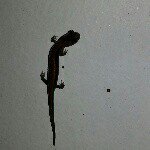 James Ramsburg - @jamesramsburg - Instagram